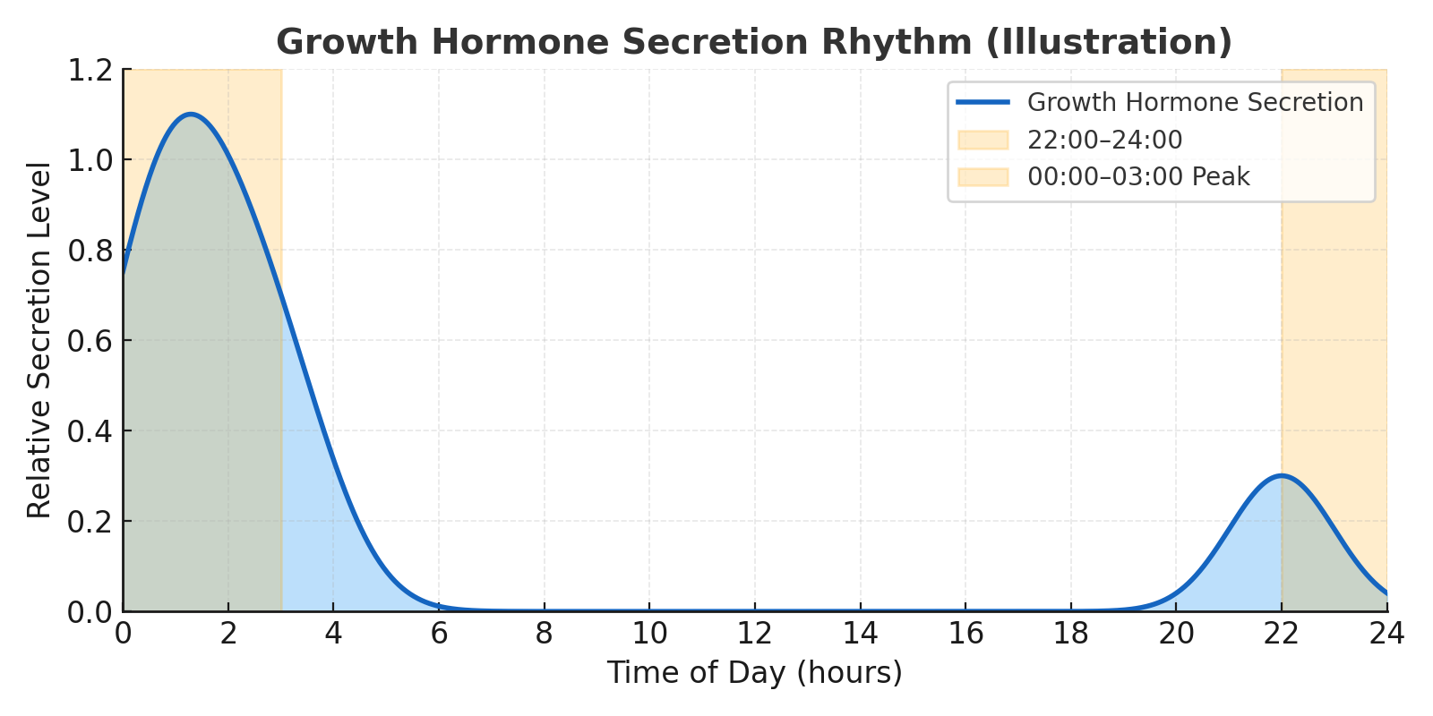 Growth hormone secretion rhythm showing peak during midnight