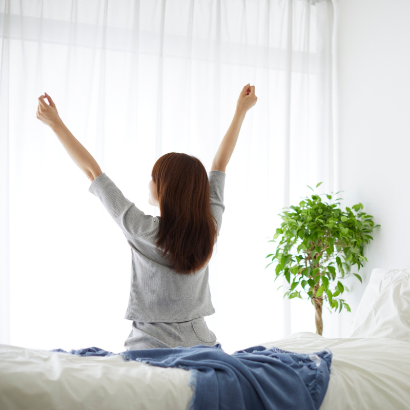 朝日を浴びてストレッチをする女性。体内時計を整える習慣を表す写真。